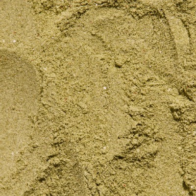 moringa