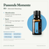 doTERRA Air - Atemwegsmischung - Passende Momente