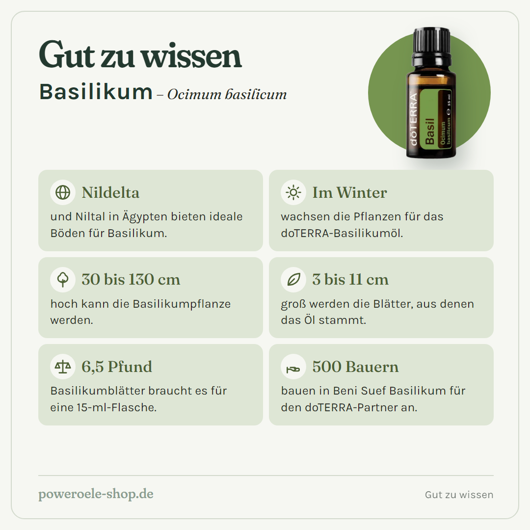 doTERRA Basil Basilikum - Gut zu wissen
