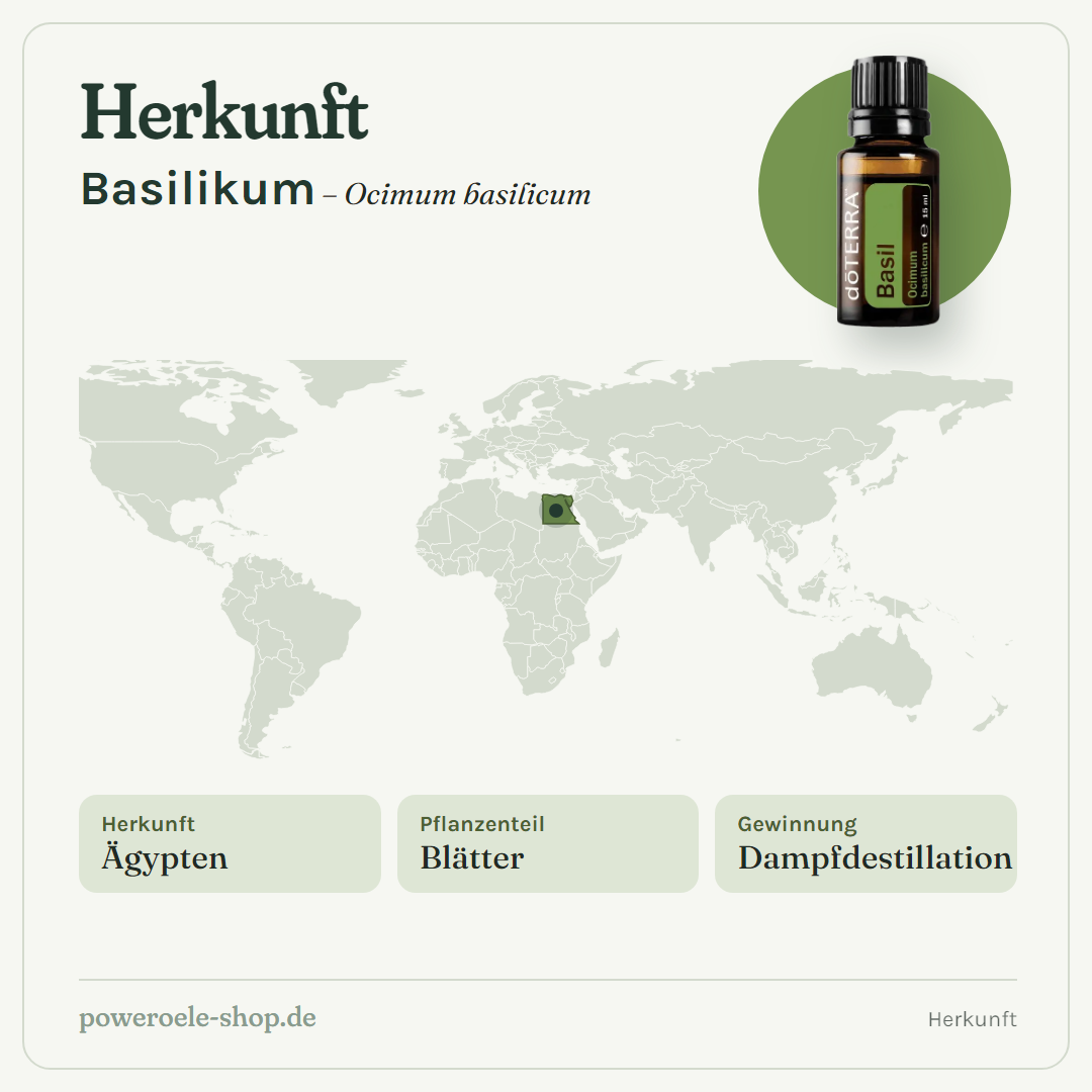 doTERRA Basil Basilikum - Herkunft