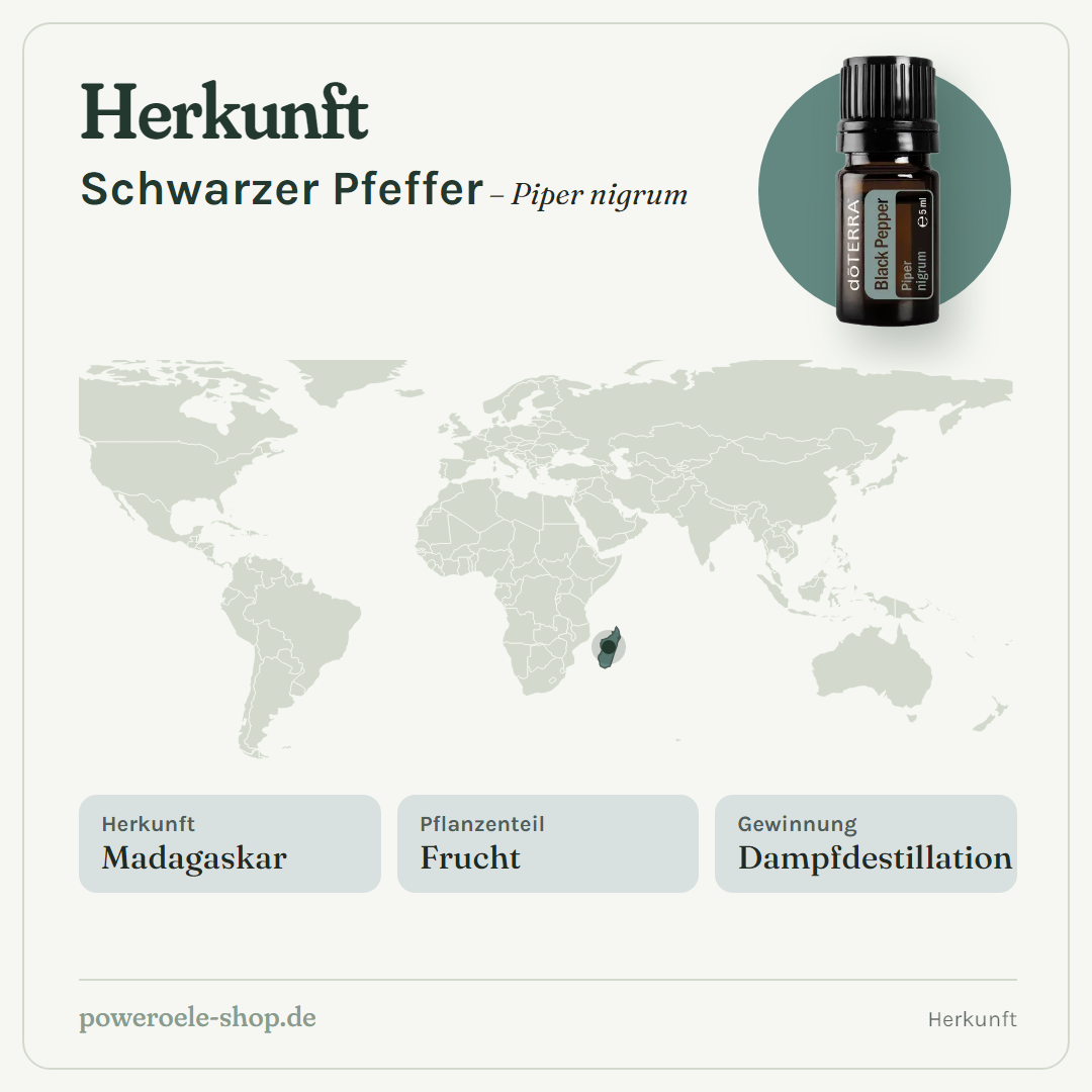 doTERRA Black Pepper (schwarzer Pfeffer) - Herkunft