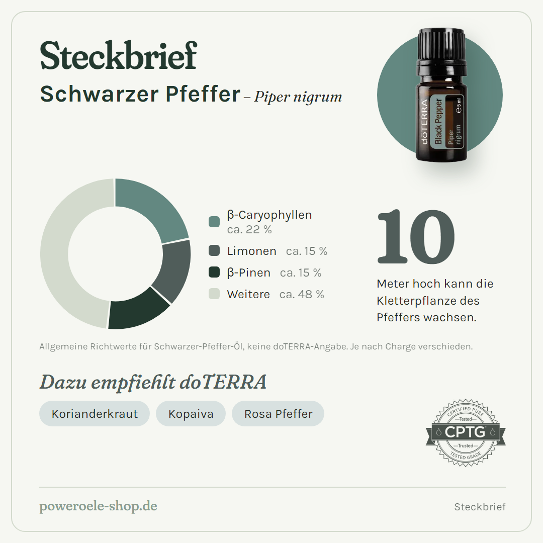 doTERRA Black Pepper (schwarzer Pfeffer) - Steckbrief