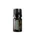 doTERRA Black Spruce (Schwarzfichte) - Poweroele Shop