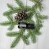 doTERRA Black Spruce (Schwarzfichte) - Poweroele Shop