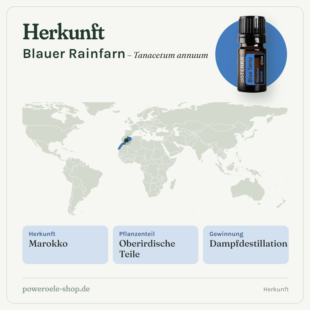 doTERRA Blue Tansy (Blauer Rainfarn) - Herkunft