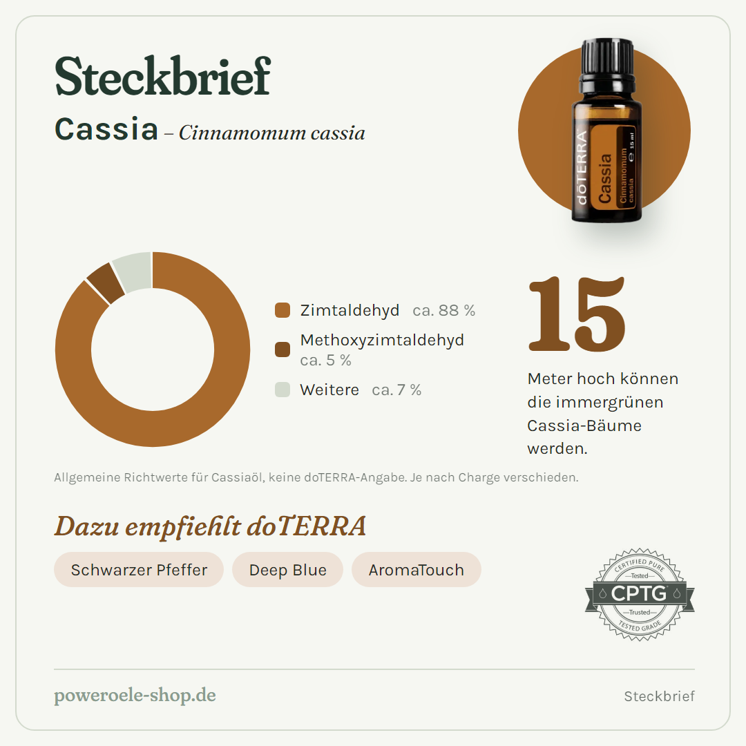doTERRA Cassia (Kassia) - Steckbrief
