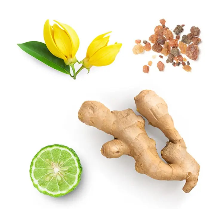 doTERRA Cheer - Erbauende Mischung 