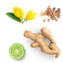 doTERRA Cheer - Erbauende Mischung 