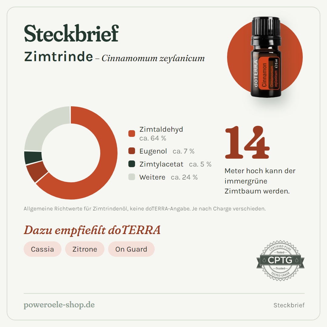 doTERRA Cinnamon Bark (Zimtrinde) - Steckbrief