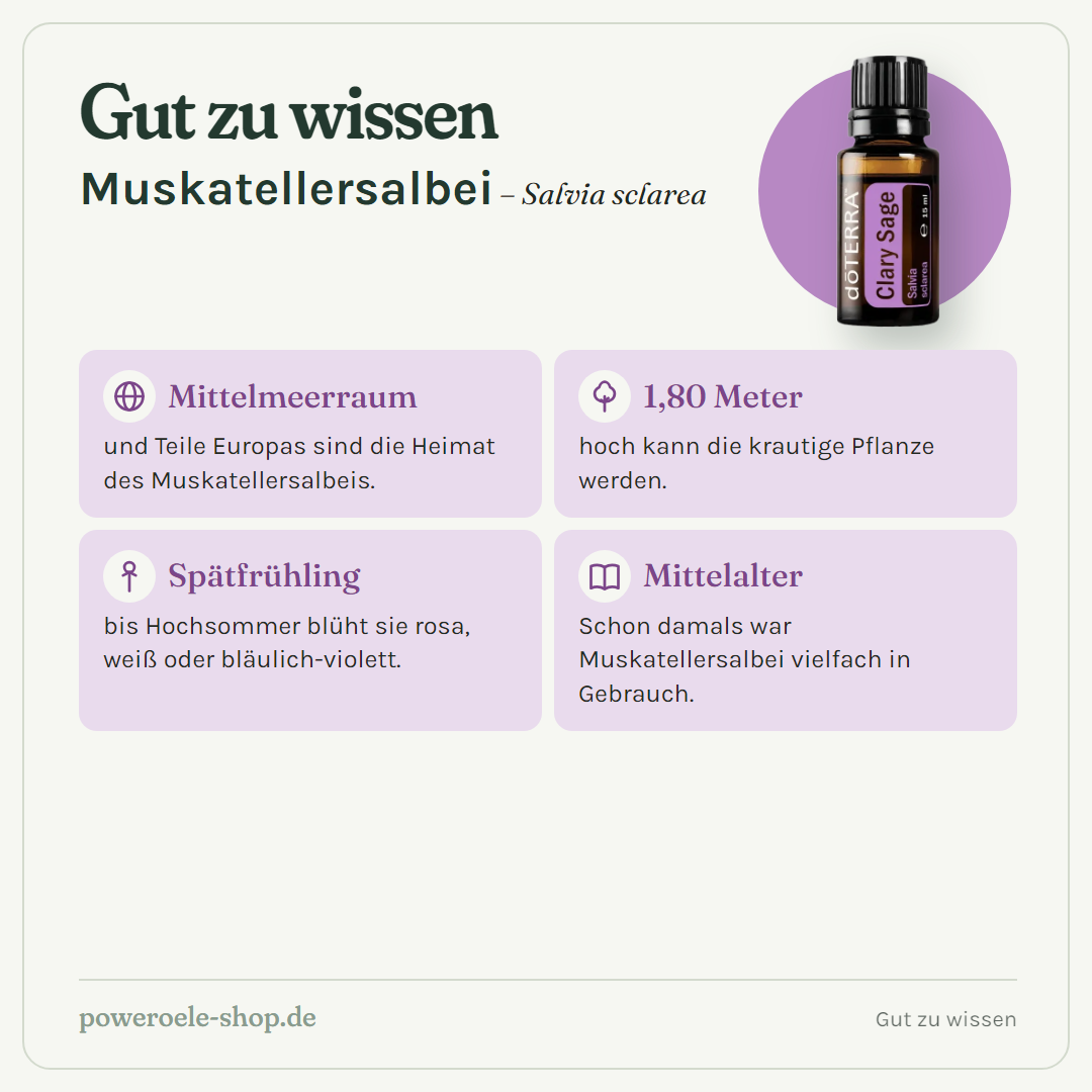 doTERRA Clary Sage (Muskatellersalbei) - Gut zu wissen