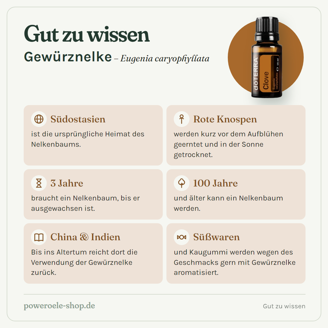 doTERRA Clove (Gewürznelke) - Gut zu wissen
