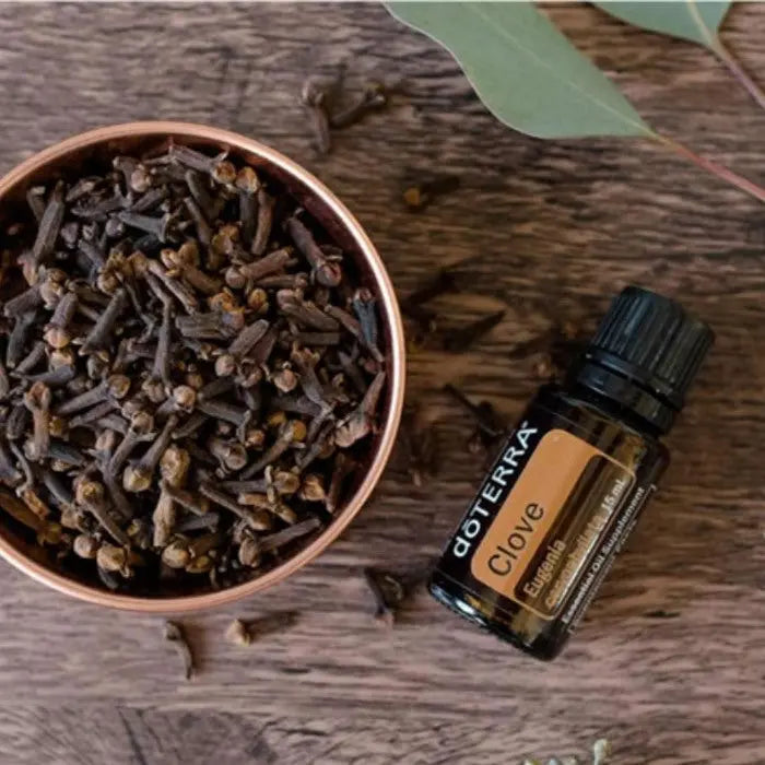 doTERRA Clove (Gewürznelke) - Poweroele Shop
