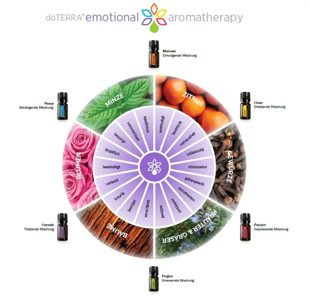 doTERRA Sets & Bundles im doTERRA Poweroele-Shop kaufen