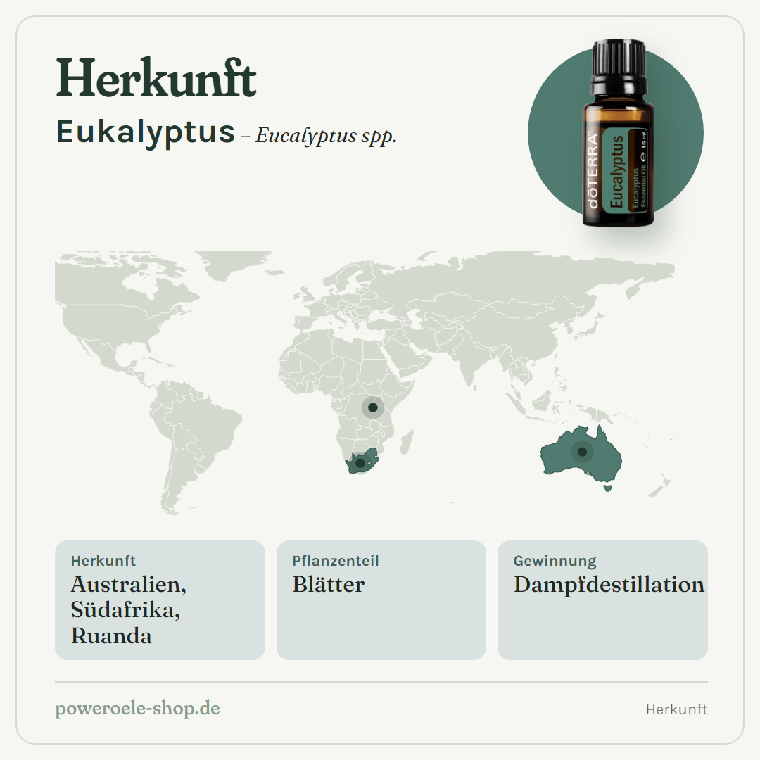 doTERRA Eucalyptus (Eukalyptus) - Herkunft