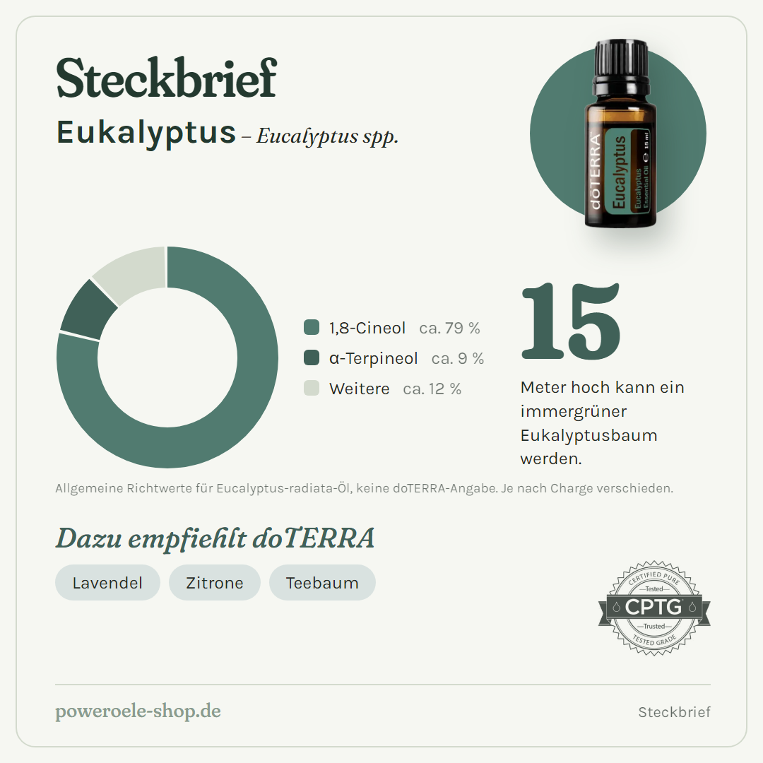 doTERRA Eucalyptus (Eukalyptus) - Steckbrief