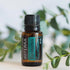 doTERRA Eucalyptus (Eukalyptus) - Poweroele Shop