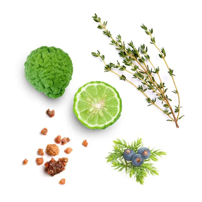 doTERRA Forgive - Erneuernde Mischung 