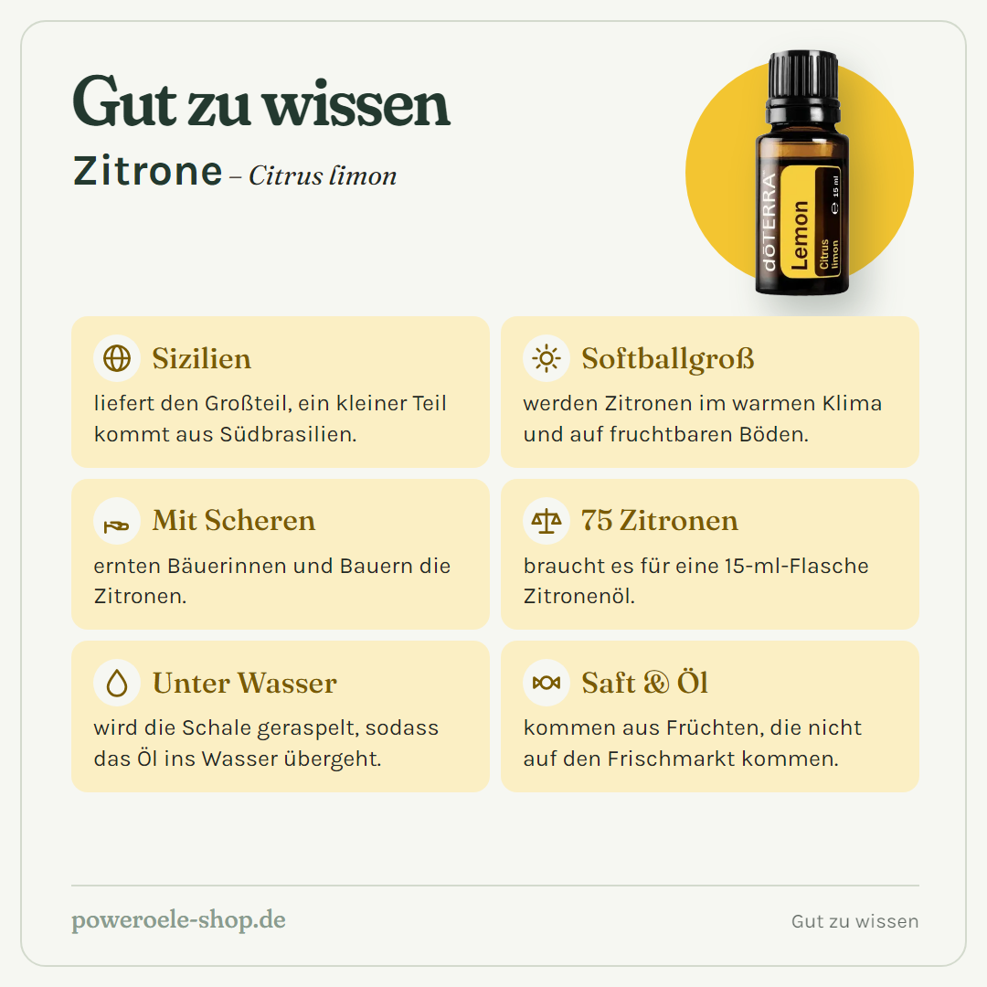 doTERRA Lemon - Gut zu wissen
