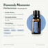 doTERRA Peppermint - Passende Momente