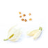 doTERRA Steady - Erdende Mischung 