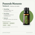doTERRA Tea Tree Teebaumöl - Passende Momente