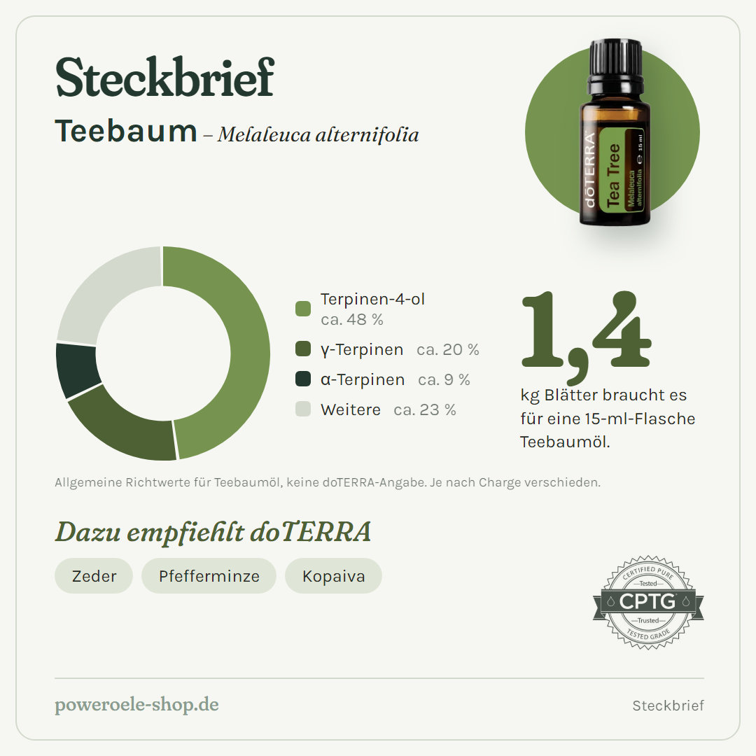 doTERRA Tea Tree Teebaumöl - Steckbrief