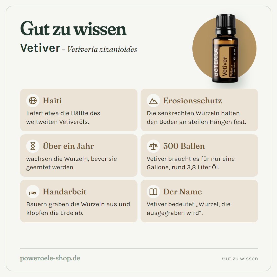 doTERRA Vetiver - Gut zu wissen