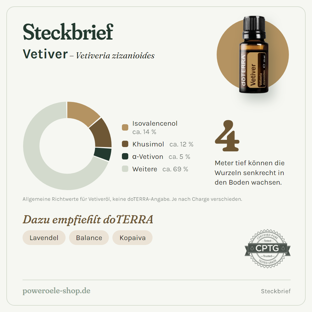 doTERRA Vetiver - Steckbrief
