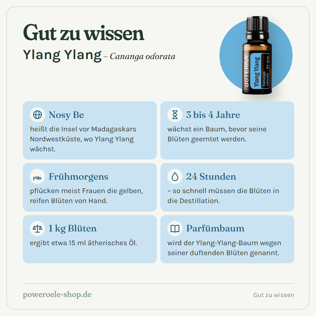 doTERRA Ylang Ylang - Gut zu wissen