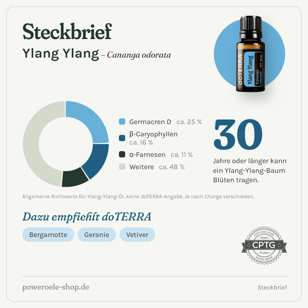 doTERRA Ylang Ylang - Steckbrief